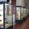 Museo Scienze della Terra, vetrine