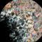 Preparazione campioni TEM: cristalli di calcite assottigliati