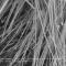 Tremolite fibres. SEM/BSE image