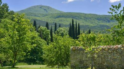 Amiata dal Vivo