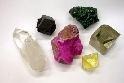 Collezioni Didattiche