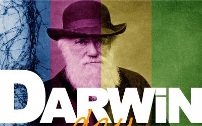 Darwin