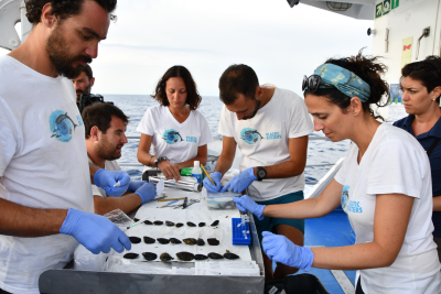 Campionamento in mare