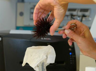 Esempio ricerca in Scienze Ambientali