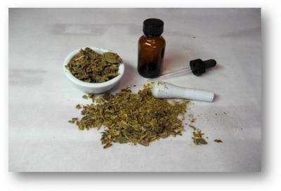 Phytotherapy 1: from plant to drug