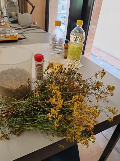 Laboratorio Fitoterapia
