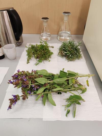 Laboratorio Fitoterapia