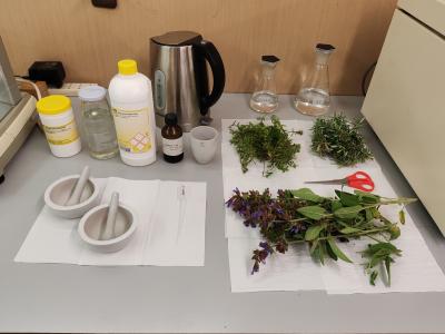 Laboratorio Fitoterapia