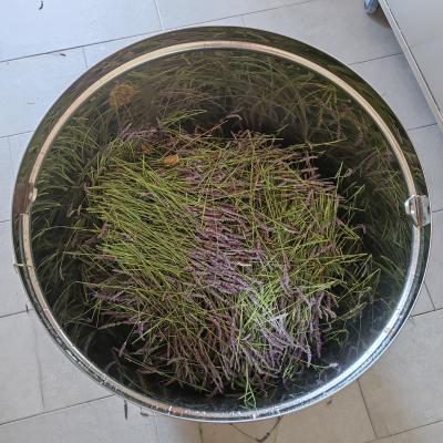 Laboratorio Fitoterapia