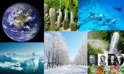 I mondi dell'acqua II