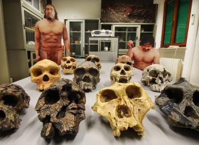 Laboratorio di Antropologia