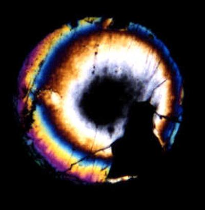 Laboratorio Preparazioni TEM Laboratorio Preparazioni TEM