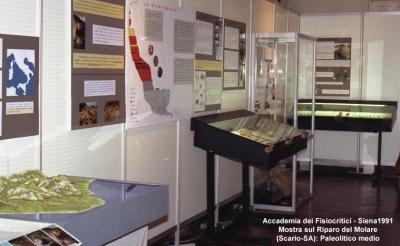 Accademia dei Fisiocritici - Mostra sul Riparo del Molare