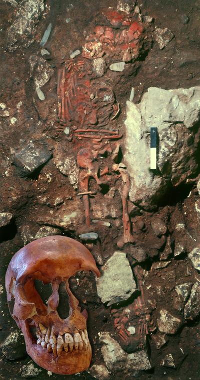 Sepoltura “PA12” di Grotta Paglicci analizzata nello studio Sepoltura “PA12” di Grotta Paglicci analizzata nello studio