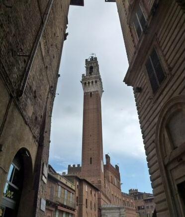 Siena, la Torre del Mangia da Via Rinaldini