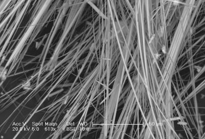 Immagine al microscopio elettronico a scansione di fibre di amianto